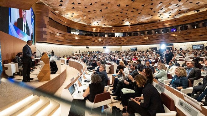 77 Asamblea Mundial de la Salud.