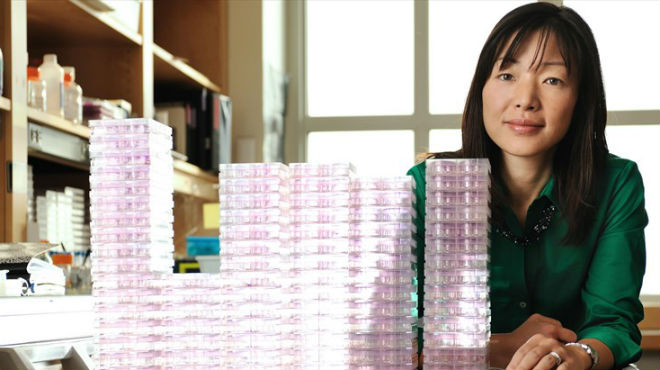 Akiko Iwasaki, profesora de Inmunobiologa.