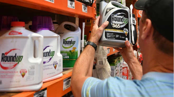 Bayer no detendr� la producci�n del glifosato debido a su eficacia y su bajo costo