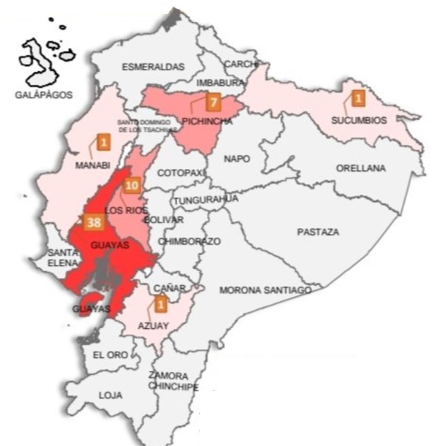 Guayas es la provincia con ms casos de Covid-19.