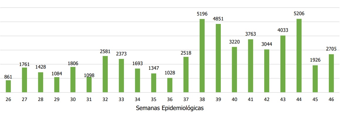 Incremento de casos confirmados de CoVID19 en Quito, segn semana epidemiolgica. Fuente Municipio de Quito.