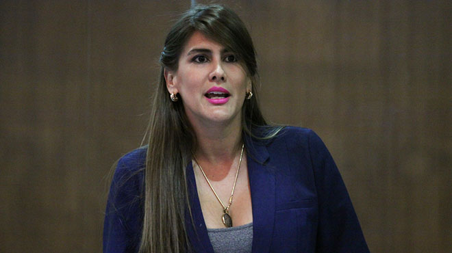 Cristina Reyes, asamblesta