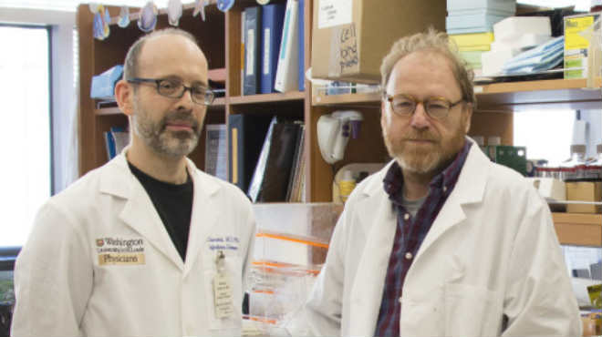 Michael Diamond, MD, PhD, and Daved Fremont, PhD.