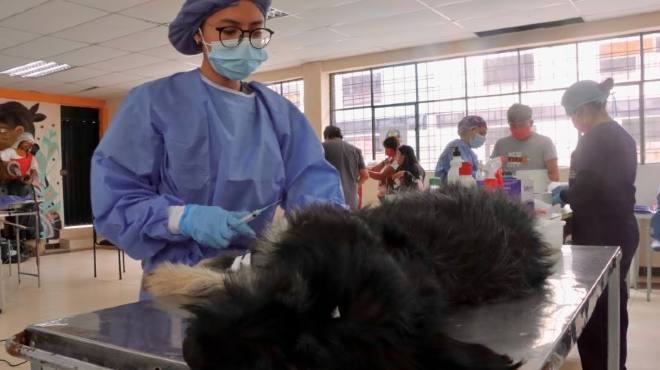 Se han distribuido 200 turnos.