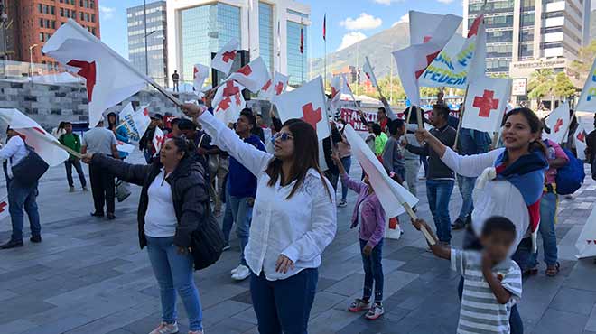 Plantn en Quito.