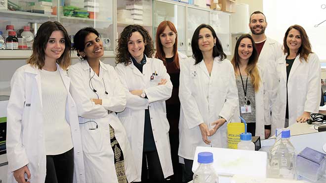 Investigadores del Instituto de Investigacin Sanitaria Incliva.