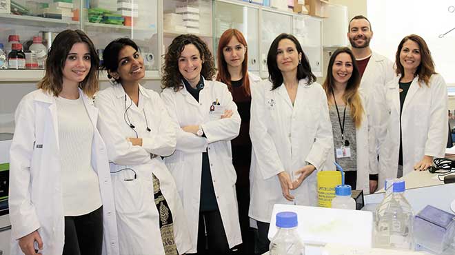 Investigadores del Instituto de Investigacin Sanitaria Incliva.