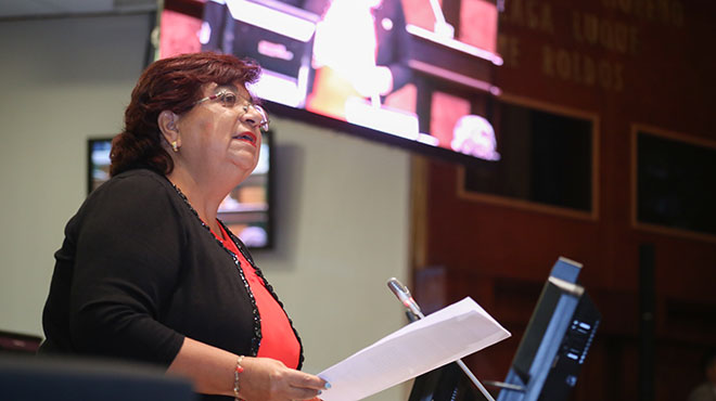 Liliana Durn, presidenta de la Comisin Permanente de Derechos de los Trabajadores y Seguridad Social. 