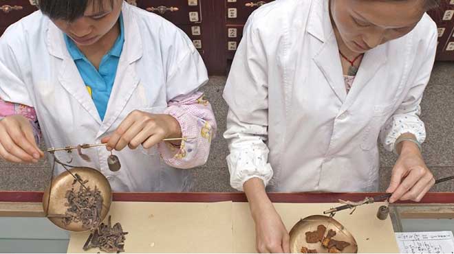 Se desarrollar a la Cumbre Mundial sobre Medicina Tradicional.