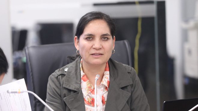 Mireya Pazmio, presidenta de la Comisin de Rgimen Econmico.