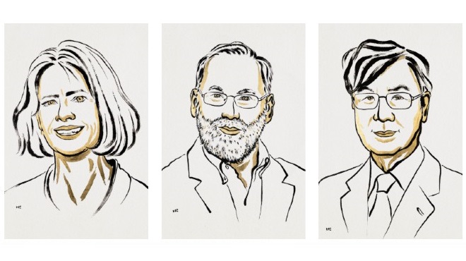María E. Brunkow, Frederick J. Ramsdell y Shimon Sakaguchi, galardonados.
