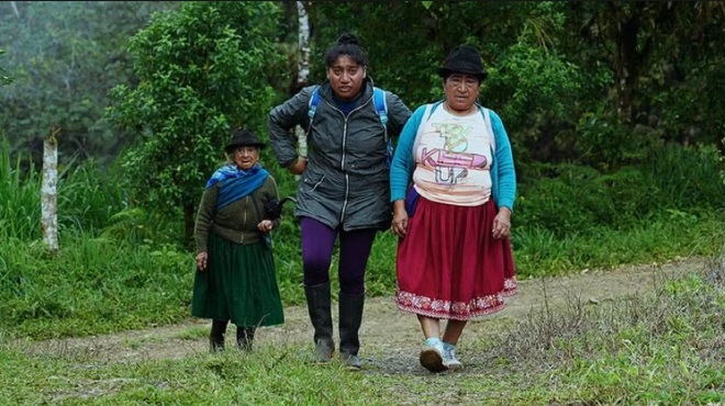 Una buena prctica es una intervencin directas en los territorios.