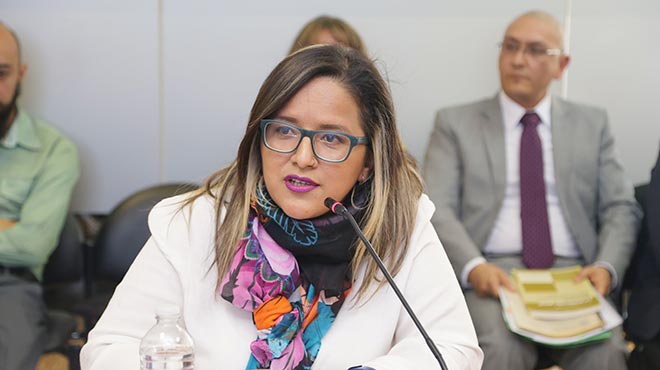 Paola Mera, secretara tcnica del Consejo Nacional para la Igualdad de Gnero.