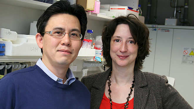 Mikito Takefuji  y Nina Wettschureck, investigadores.