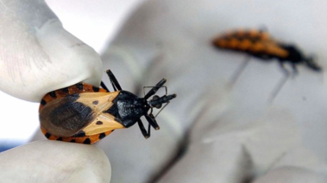 La Enfermedad de Chagas es causada por el parsito Trypanosoma cruzi
