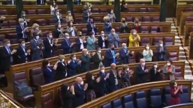 Diputados socialistas aplaudieron por varios minutos la aprobacin de esta ley.