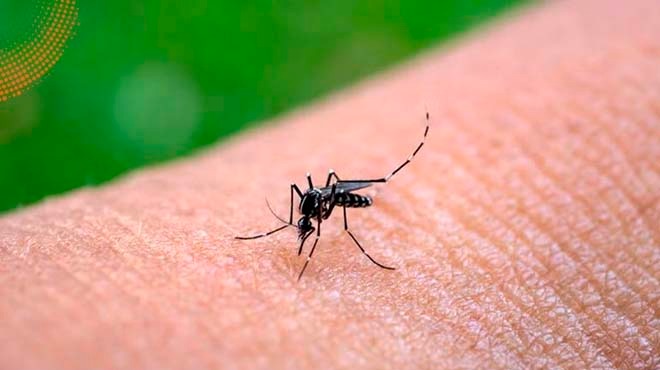 En 2025 la OPS calificó a la enfermedad como de alto riesgo.