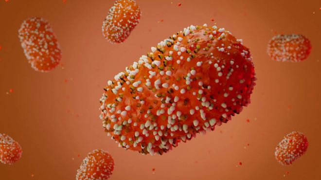 Alerta epidemiolgica de la OPS.
