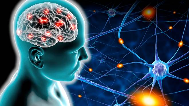 La neuroplasticidad es uno de los m�todos m�s efectivos para mantener el cerebro activo.