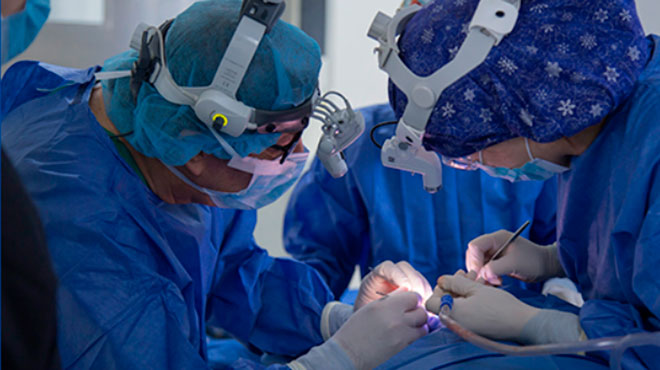 Dos hospitales han reactivado sus programas de trasplantes de rganos hasta el momento.