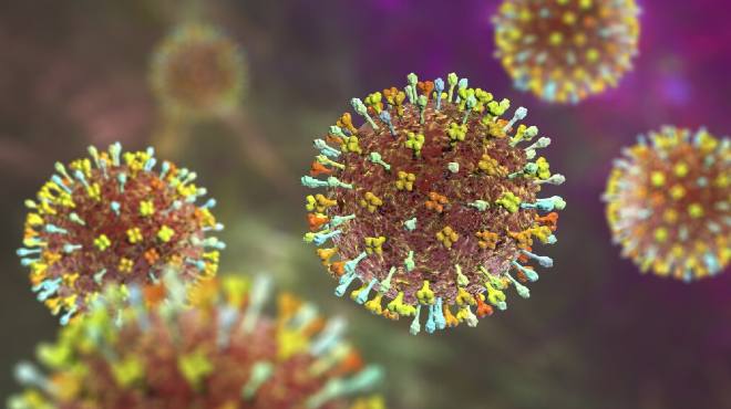 MSP mantiene activa la vigilancia epidemiolgica.